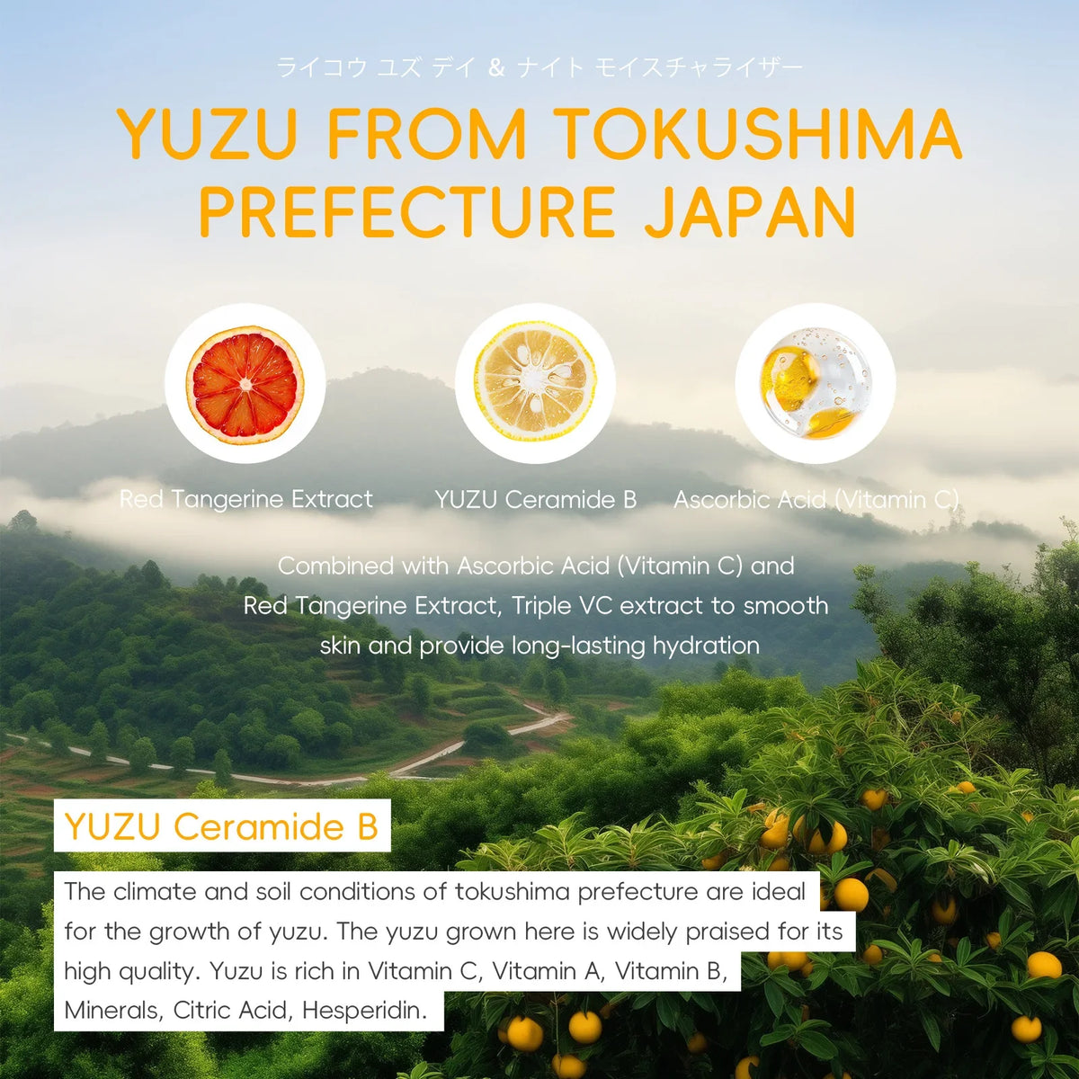 LAIKOU Yuzu Radiance 5Pcs Skincare Set (FREE DELIVERY)