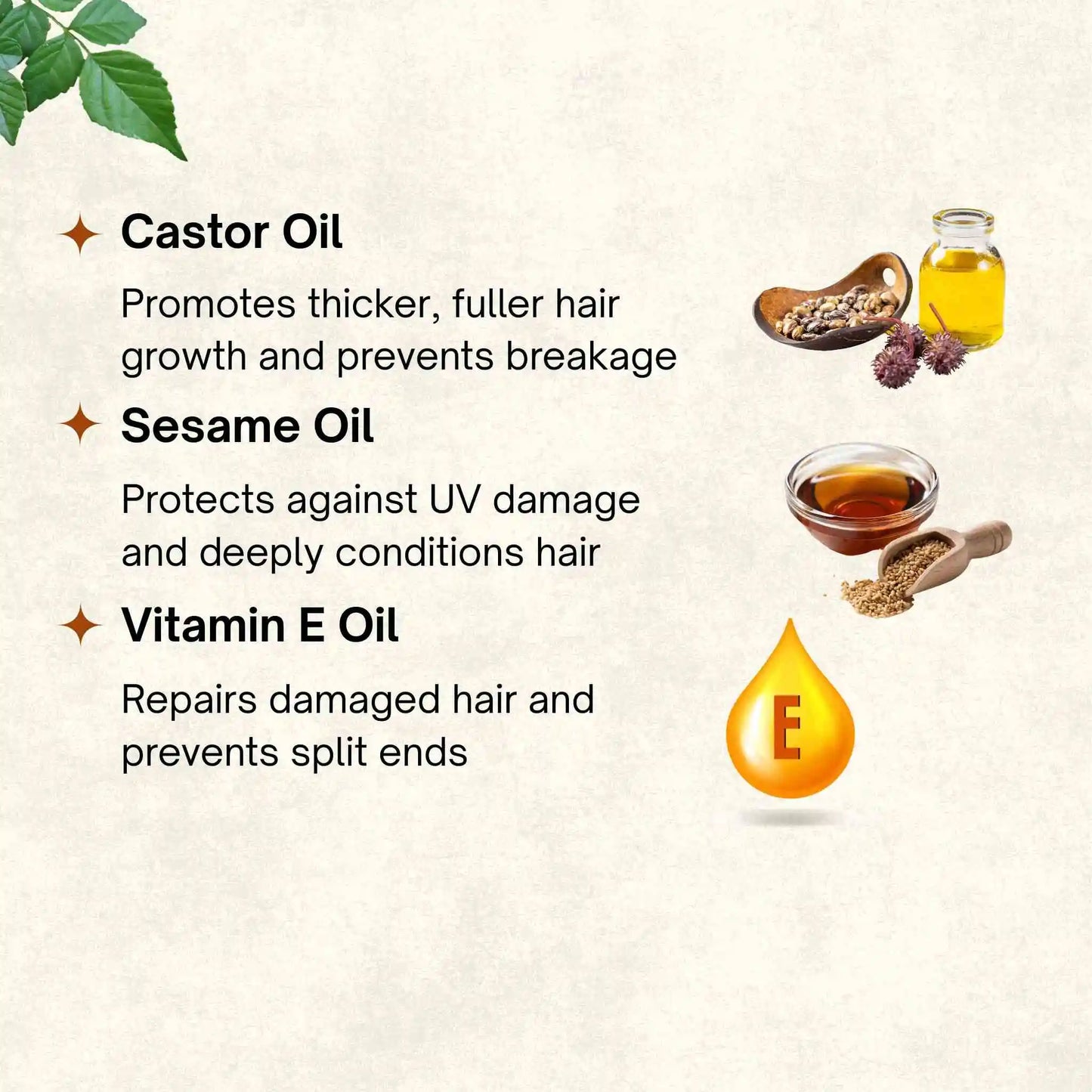 Mixed Herbs Organic Oil | 100 ml