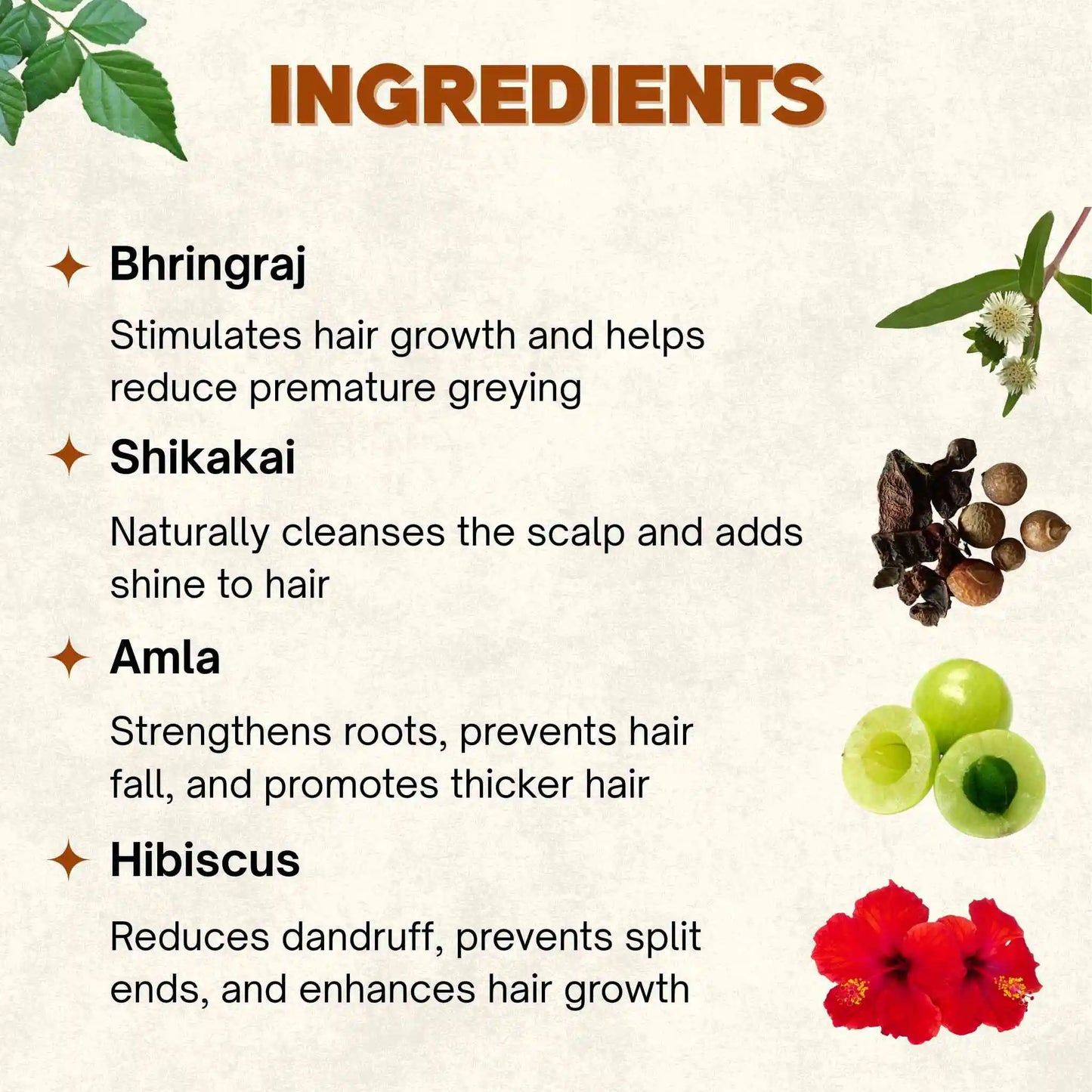 Mixed Herbs Organic Oil | 100 ml