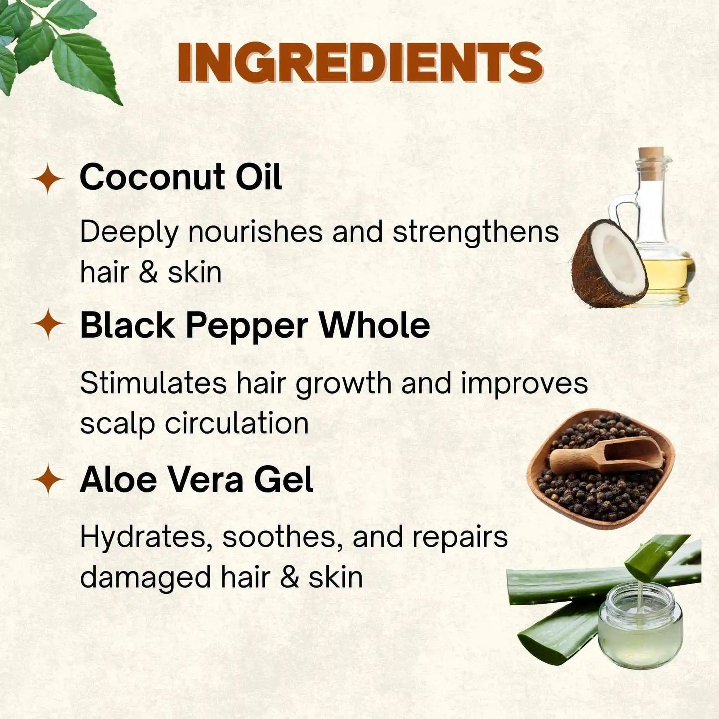 Aloe Vera Organic Oil | 100 ml